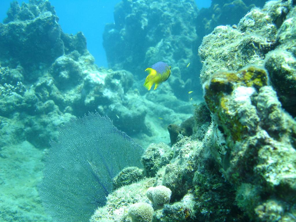 2008-05-12 16-25-25.JPG
